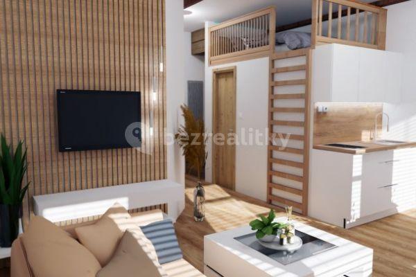 1 bedroom with open-plan kitchen flat for sale, 33 m², Rokytnice nad Jizerou