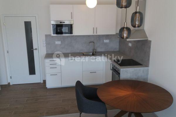 1 bedroom with open-plan kitchen flat to rent, 55 m², Poňava, Brno