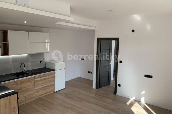 1 bedroom with open-plan kitchen flat to rent, 50 m², Kramoly, Ústí nad Labem