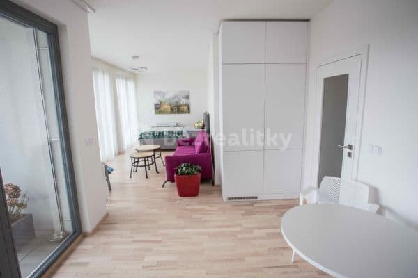 Studio flat to rent, 47 m², U Mlýnského kanálu, Praha Studio flat to rent, 47 m², U Mlýnského kanálu, Praha