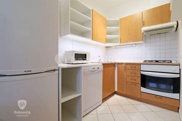 1 bedroom with open-plan kitchen flat to rent, 40 m², Pelušková, 