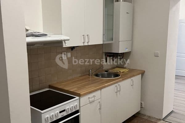 1 bedroom with open-plan kitchen flat to rent, 33 m², Branická, Praha