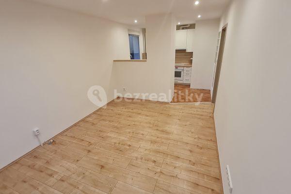 1 bedroom with open-plan kitchen flat to rent, 41 m², Prague, Prague
