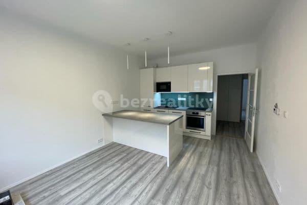 1 bedroom with open-plan kitchen flat to rent, 50 m², Sýpka, Brno, Jihomoravský Region 1 bedroom with open-plan kitchen flat to rent, 50 m², Sýpka, Brno, Jihomoravský Region