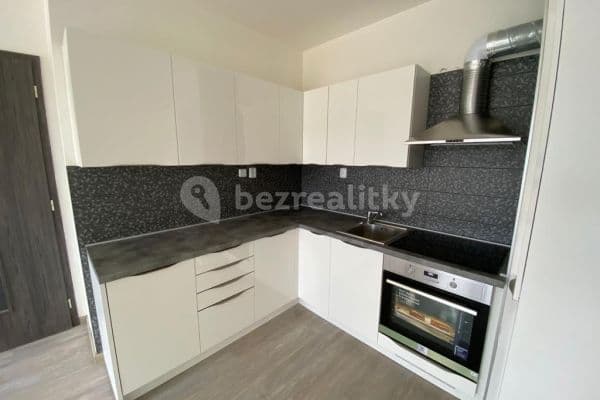 1 bedroom with open-plan kitchen flat to rent, 50 m², Plzeň