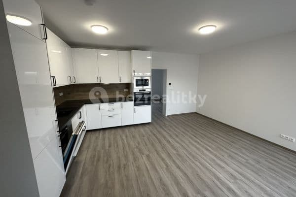 1 bedroom with open-plan kitchen flat to rent, 73 m², Havránkova, Brno 1 bedroom with open-plan kitchen flat to rent, 73 m², Havránkova, Brno