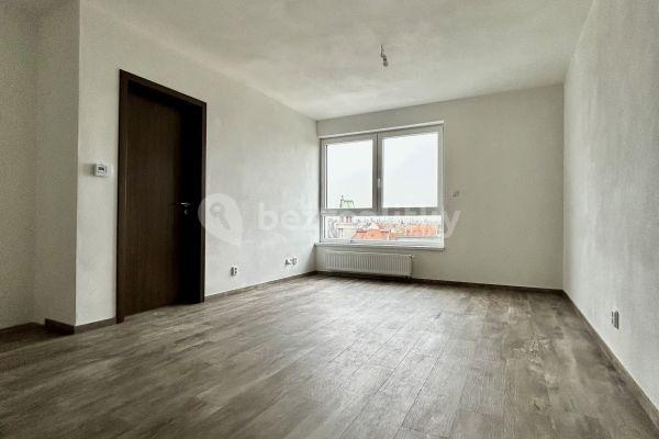 1 bedroom with open-plan kitchen flat to rent, 40 m², Plzeň, Plzeňský Region