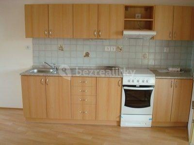 2 bedroom with open-plan kitchen flat to rent, 61 m², Dačického, Brno