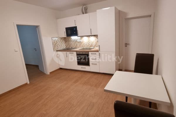 1 bedroom with open-plan kitchen flat to rent, 45 m², Maru Špačkové, Rakovník, Středočeský Region