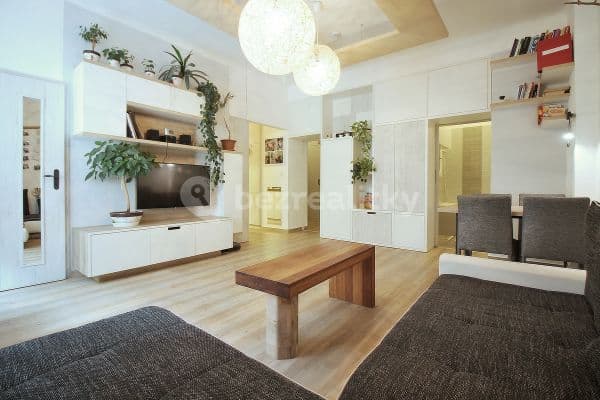 1 bedroom with open-plan kitchen flat to rent, 49 m², Prague, Prague
