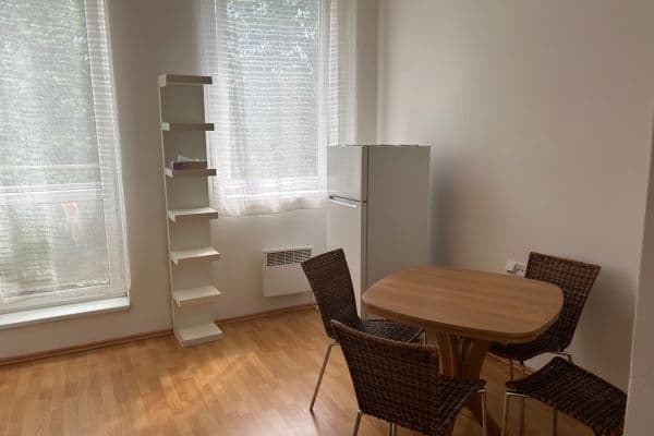 1 bedroom with open-plan kitchen flat to rent, 36 m², Poznaňská, Sázava, Středočeský Region 1 bedroom with open-plan kitchen flat to rent, 36 m², Poznaňská, Sázava, Středočeský Region