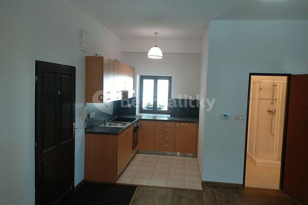 1 bedroom with open-plan kitchen flat to rent, 53 m², Žitavského, Praha