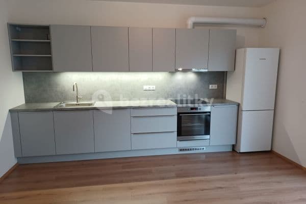 1 bedroom with open-plan kitchen flat to rent, 56 m², K Zelené louce, Plzeň