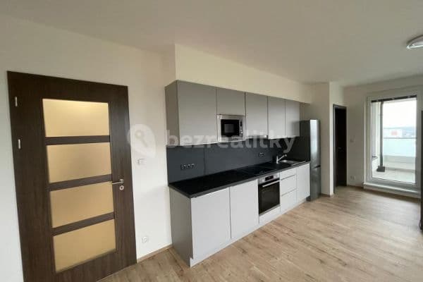 1 bedroom with open-plan kitchen flat to rent, 57 m², Prague, Prague