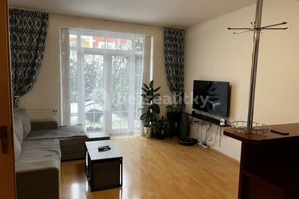 1 bedroom with open-plan kitchen flat to rent, 47 m², Vestec, Středočeský Region