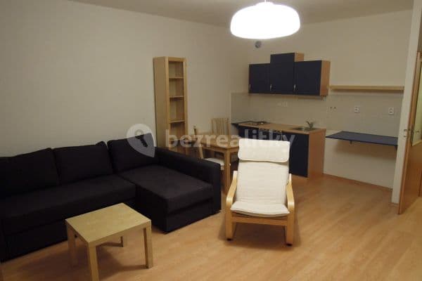 Studio flat to rent, 36 m², Na Lávce, Praha