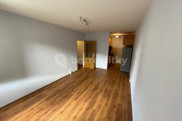 1 bedroom with open-plan kitchen flat to rent, 43 m², U Jezera, Prague, Prague