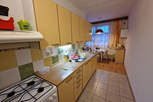 2 bedroom flat to rent, 59 m², České Budějovice, Jihočeský Region