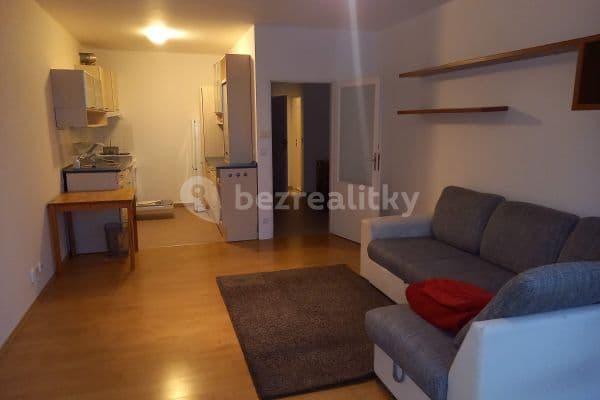 1 bedroom with open-plan kitchen flat to rent, 60 m², Butovická, Prague, Prague