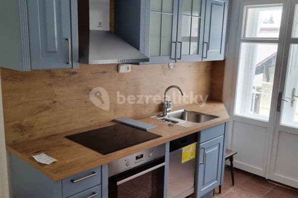 2 bedroom with open-plan kitchen flat to rent, 78 m², Kounická, Prague, Prague