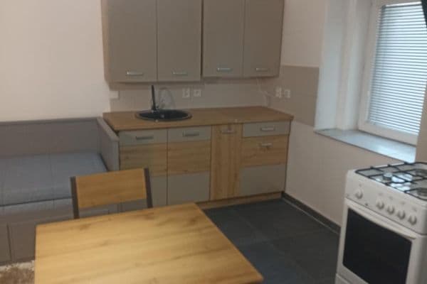 Studio flat to rent, 25 m², Záryby Studio flat to rent, 25 m², Záryby