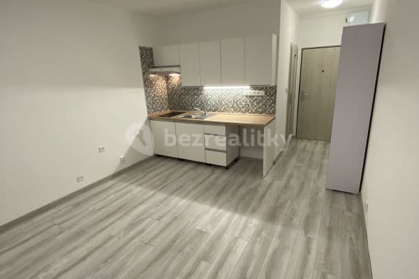 Small studio flat to rent, 20 m², Ladova, Ústí nad Labem, Ústecký Region