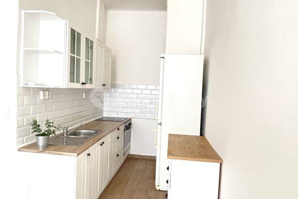 1 bedroom with open-plan kitchen flat to rent, 60 m², Vykáňská, Praha