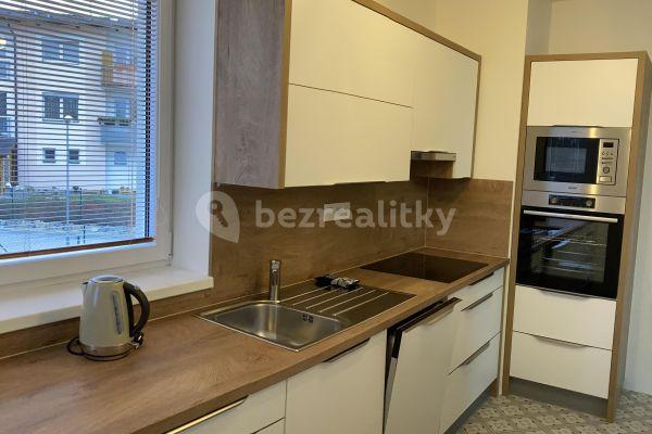 1 bedroom with open-plan kitchen flat to rent, 57 m², Za Pilou, Trhové Sviny