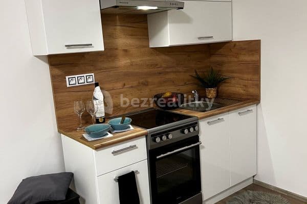 1 bedroom with open-plan kitchen flat to rent, 53 m², Čerpadlová, Hlavní město Praha
