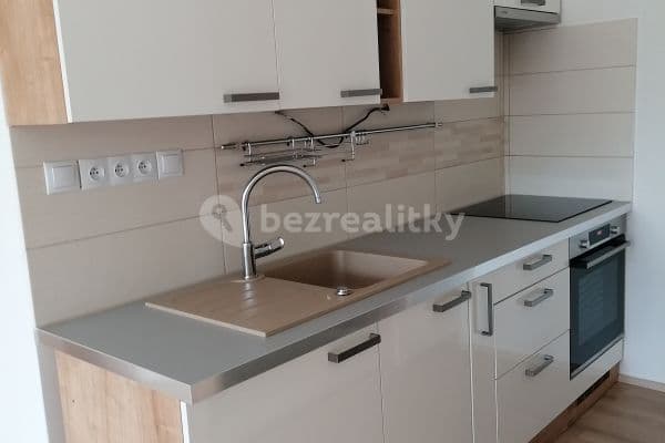 1 bedroom with open-plan kitchen flat to rent, 48 m², Tobrucká, Prague, Prague
