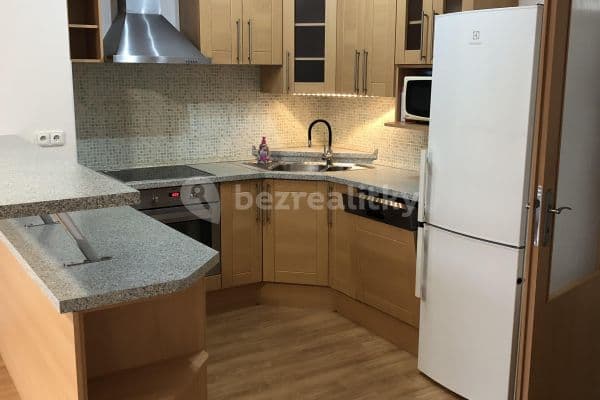 1 bedroom with open-plan kitchen flat to rent, 62 m², Blachutova, Prague, Prague