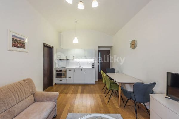 1 bedroom with open-plan kitchen flat to rent, 45 m², Trojická, Praha