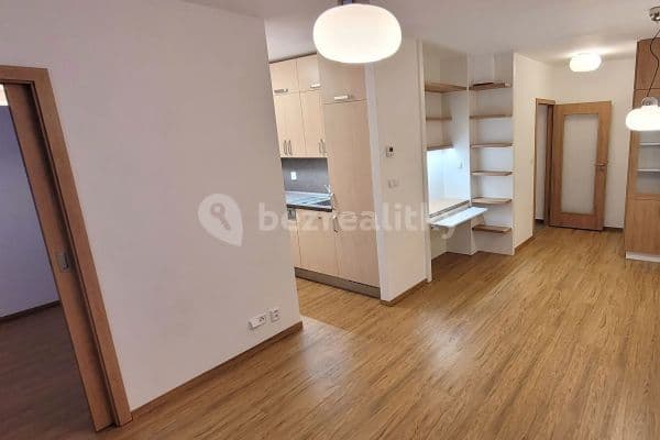 1 bedroom with open-plan kitchen flat to rent, 48 m², Weberova, Prague, Prague