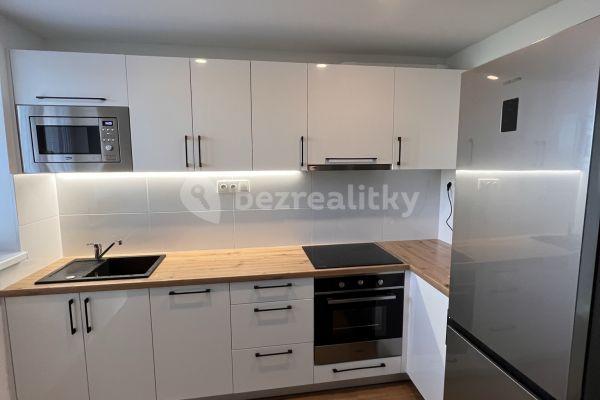 1 bedroom with open-plan kitchen flat to rent, 47 m², U Statku, Ostrava, Moravskoslezský Region