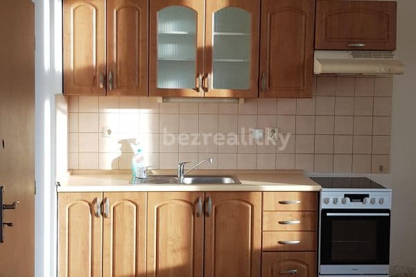 1 bedroom with open-plan kitchen flat to rent, 51 m², Hálkova, Plzeň, Plzeňský Region