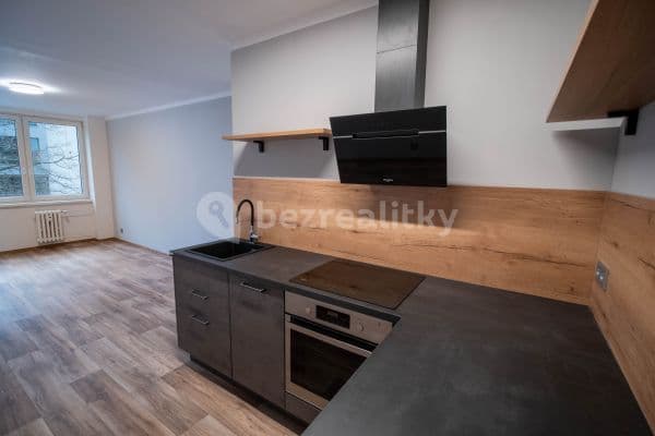 1 bedroom with open-plan kitchen flat to rent, 49 m², Vánková, Prague, Prague