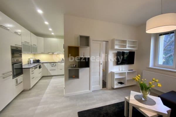 1 bedroom with open-plan kitchen flat to rent, 50 m², K Vodojemu, Praha 1 bedroom with open-plan kitchen flat to rent, 50 m², K Vodojemu, Praha