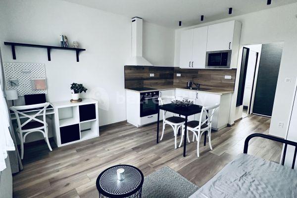 Small studio flat to rent, 22 m², K Roztokům, Hlavní město Praha