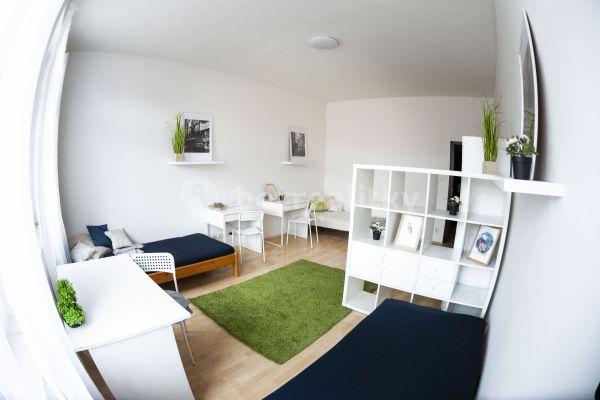 4 bedroom with open-plan kitchen flat to rent, 35 m², Spolková, Brno