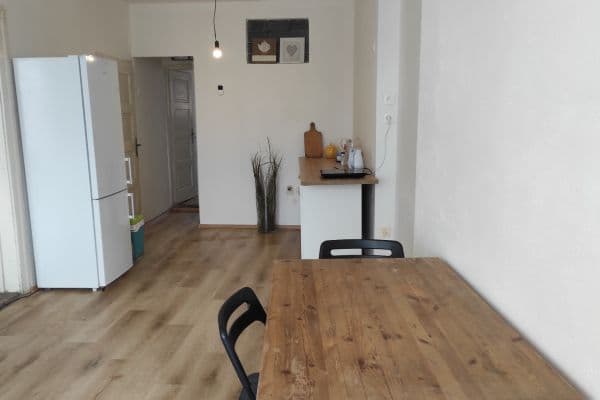 1 bedroom with open-plan kitchen flat to rent, 45 m², Kasejovice 1 bedroom with open-plan kitchen flat to rent, 45 m², Kasejovice