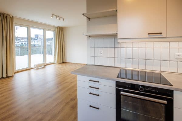 1 bedroom with open-plan kitchen flat to rent, 65 m², Praha 1 bedroom with open-plan kitchen flat to rent, 65 m², Praha