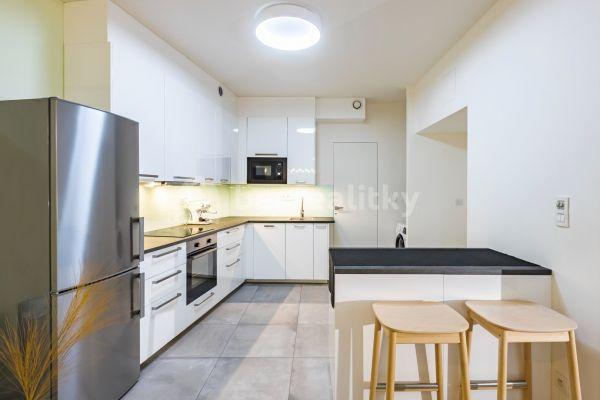 1 bedroom with open-plan kitchen flat to rent, 50 m², Dittrichova, Prague, Prague