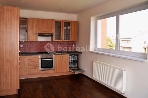 1 bedroom with open-plan kitchen flat to rent, 53 m², Za Kaštany, Plzeň 1 bedroom with open-plan kitchen flat to rent, 53 m², Za Kaštany, Plzeň