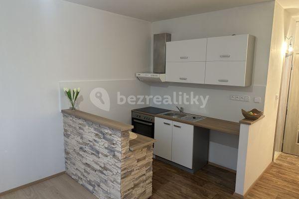1 bedroom with open-plan kitchen flat to rent, 37 m², Mikulášovice