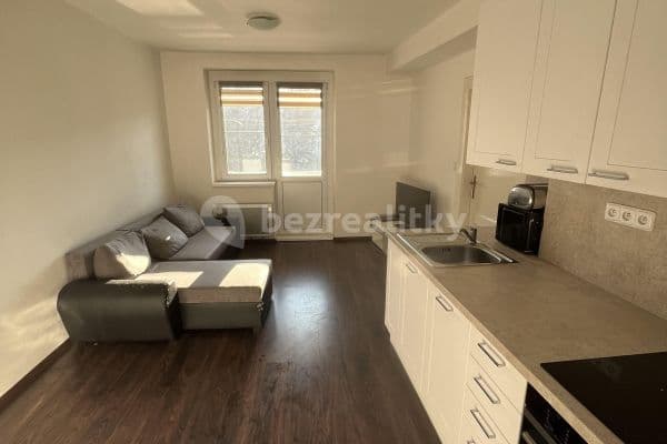 1 bedroom with open-plan kitchen flat to rent, 54 m², Mezidomí, Ústí nad Labem