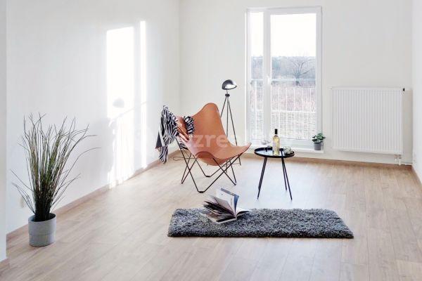 1 bedroom with open-plan kitchen flat for sale, 49 m², Praha