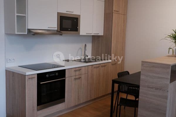 Studio flat to rent, 32 m², Božetěchova, Brno Studio flat to rent, 32 m², Božetěchova, Brno