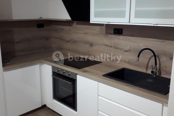1 bedroom with open-plan kitchen flat to rent, 54 m², V Uličce, Nová Ves pod Pleší