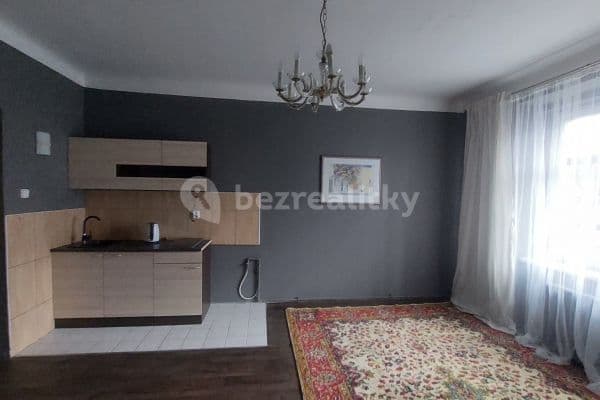 Studio flat to rent, 32 m², Doudlevecká, Plzeň, Plzeňský Region
