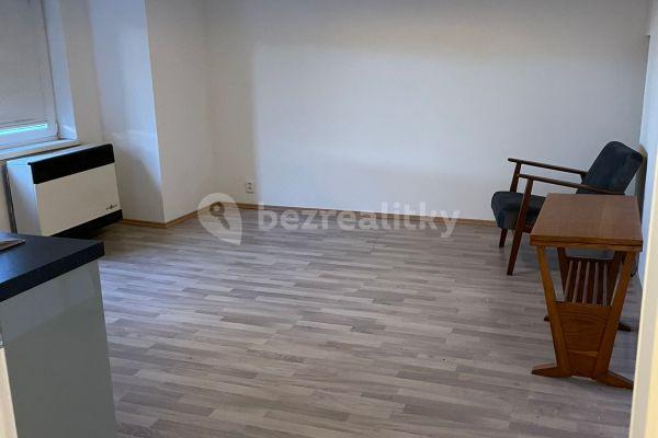 Small studio flat to rent, 34 m², Na Úlehli, Praha